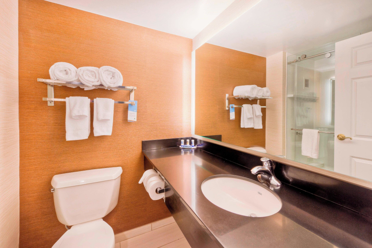 Bathroom 4, Fairfield Inn & Suites by Marriott Winston-Salem Downtown, Forsyth