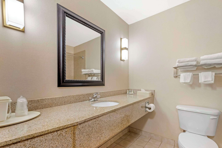 Bathroom 4, Quality Inn Raleigh Downtown, Wake