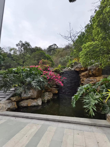 Scenery