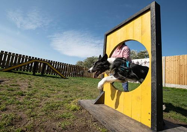 Property grounds, Meadows 111 Hot Tub - Southview Holiday Park, Lincolnshire