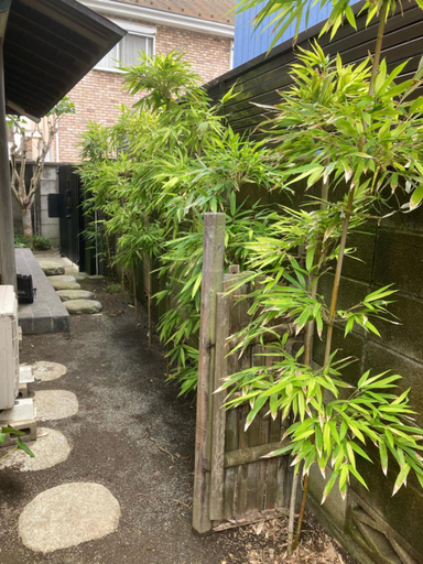Others 3, Guest House Sun-Sui 鎌倉, Kamakura