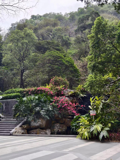 Scenery 4