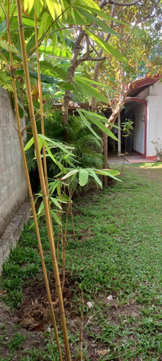 Others 5, Vibe Ceylon Home Stay, Matara Four Gravets