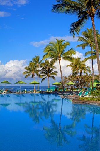 Sport & Beauty 2, 1 Hotel Hanalei Bay, Kauai