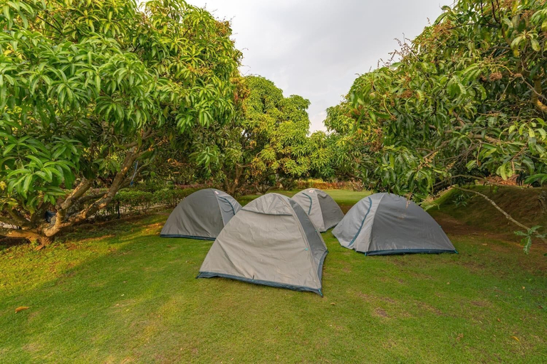 Others 5, Q Mango Resort, Ramanagara