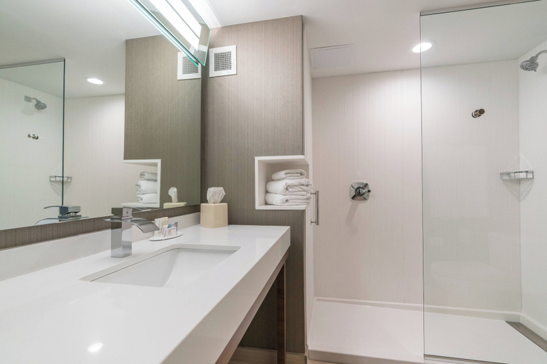 Bathroom 5, Courtyard by Marriott West Springfield, Hampden