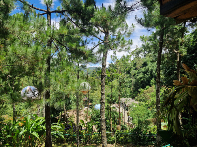 Scenery 12