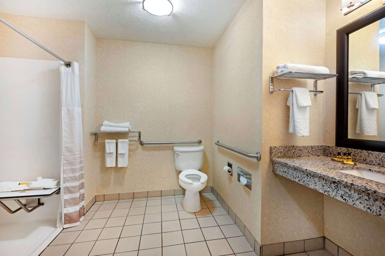 Bathroom 4, Best Western Plus Howe Inn, LaGrange