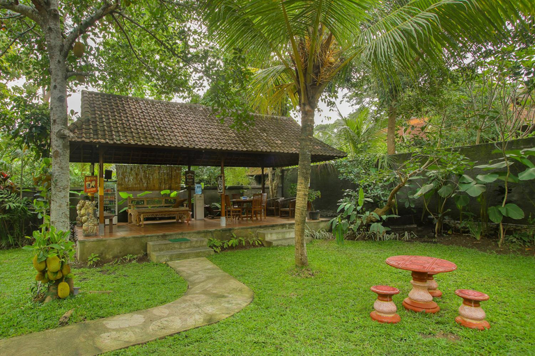 Scenery 9