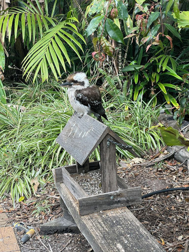 Others 4, Oasis Inn Ulladulla - Guest 18 Years and Older, Shoalhaven - Pt B