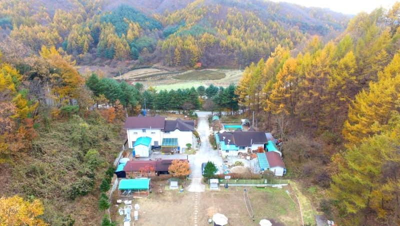 Others 4, Hongcheon Pine Fragrance Pension, Chuncheon