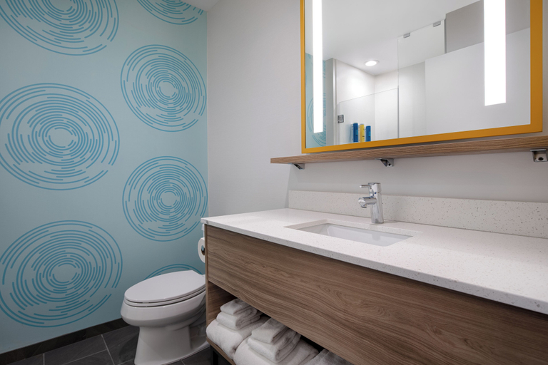 Bathroom 4, Tru By Hilton Anderson, Madison