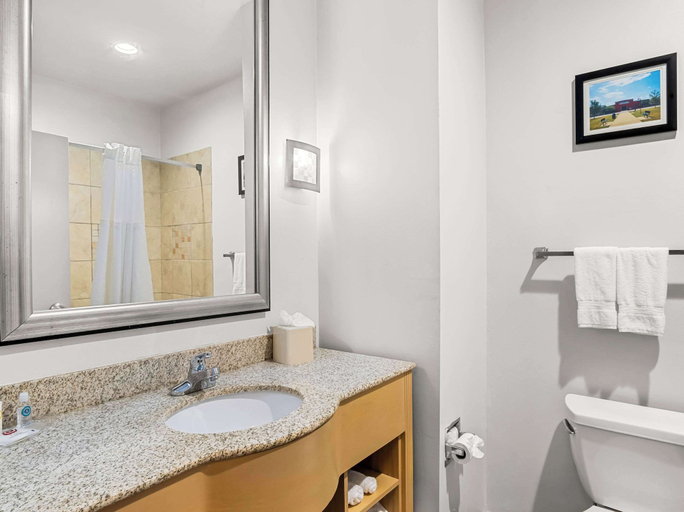 Bathroom 4, Comfort Suites Lindale - Tyler North, Smith