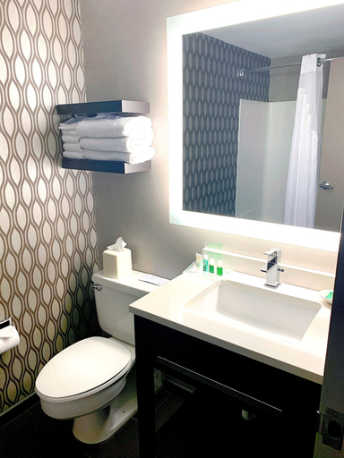 Bathroom 5, Holiday Inn ST. PAUL DOWNTOWN by IHG, Ramsey