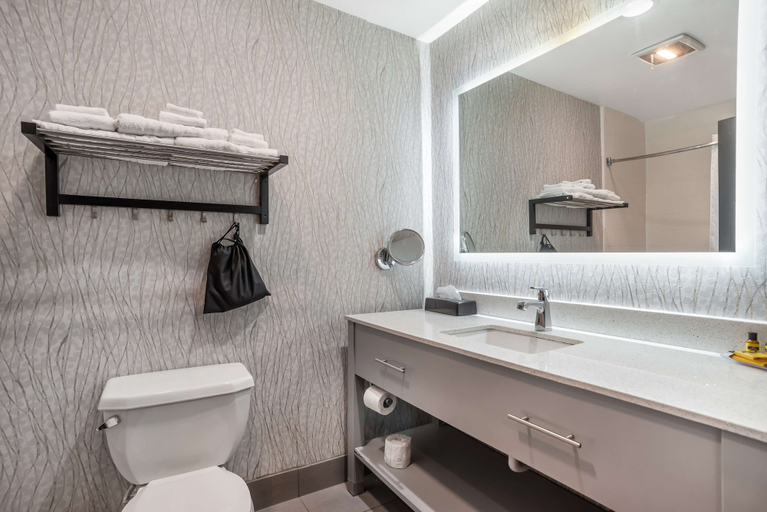 Bathroom 5, Best Western Plus Jackson Downtown-Coliseum, Hinds
