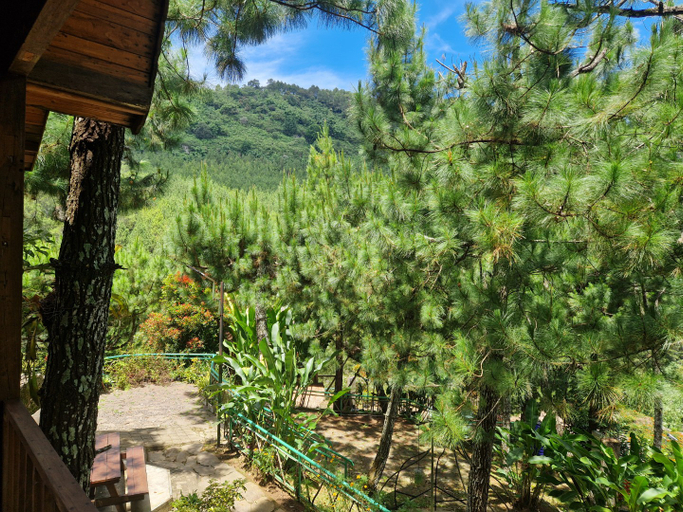Scenery 13