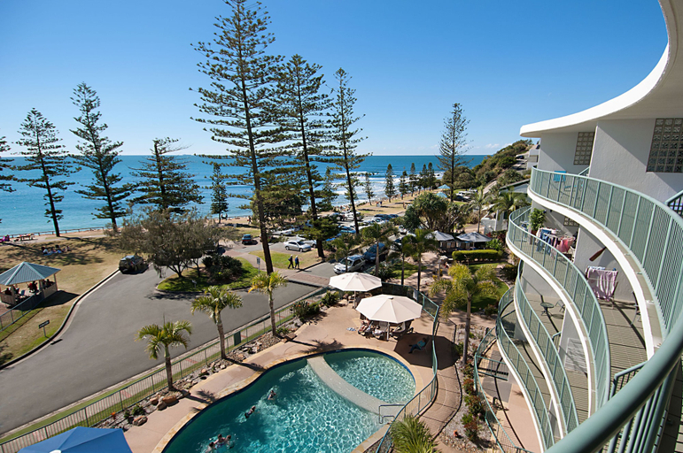 Norfolks on Moffat Beach, Caloundra - Caloundra N.