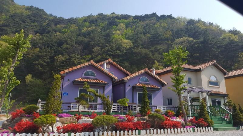 Others 4, Muju The Day Pension, Muju