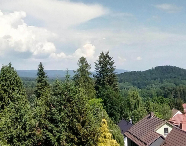 View from property 4, Apartment Jagdschloesschen, Bad Sachsa, Osterode am Harz