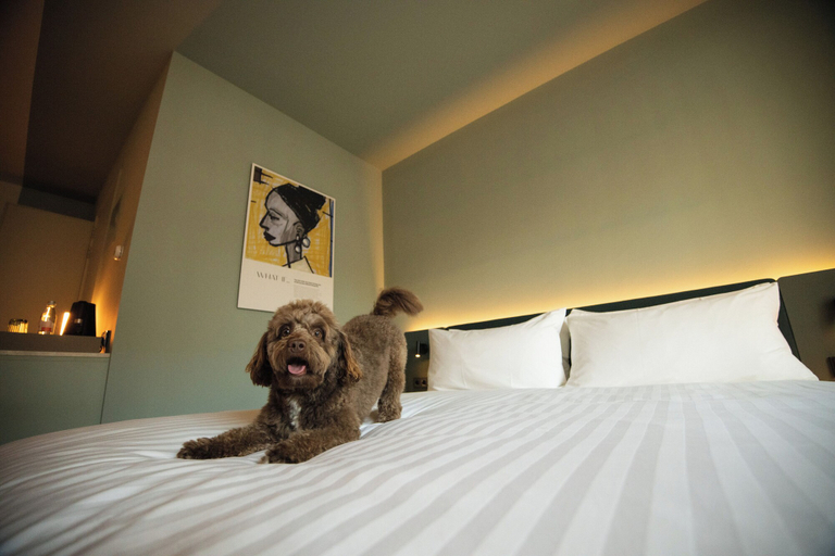 Bedroom 3, The Rebyl, Nijmegen, a Tribute Portfolio Hotel, Nijmegen