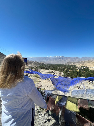 Others 4, HOTEL NATURE'S LAND, Leh