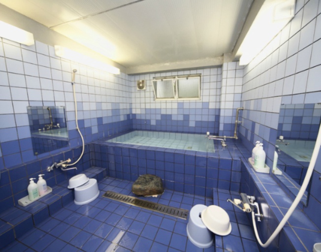 Bathroom 3, Hakuba Sunvalley Hotel, Hakuba