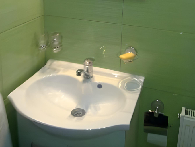 Bathroom 2, Pensiunea Roua, Sinaia