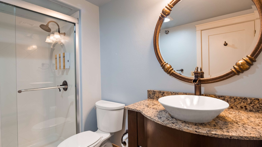 Bathroom 4, Best Western Plus Plaza Hotel, Hot Springs