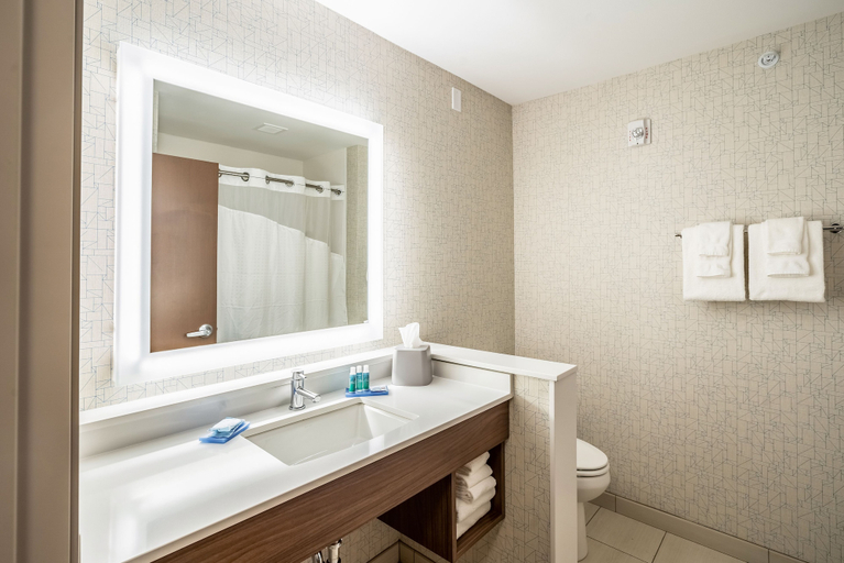 Bathroom 5, Holiday Inn Express & Suites PLATTEVILLE by IHG, Grant