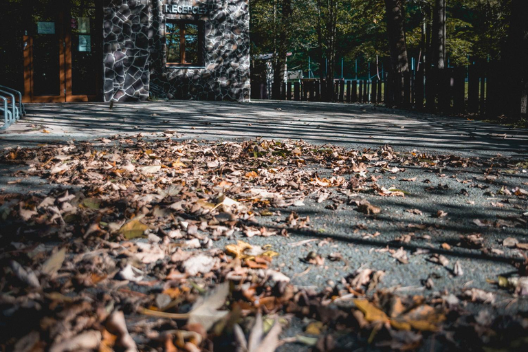 Others 3, Penzion Ovecka, Frýdek-Místek