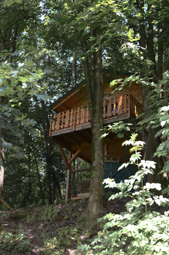 Others 4, Treehouse Velke Losiny, Šumperk