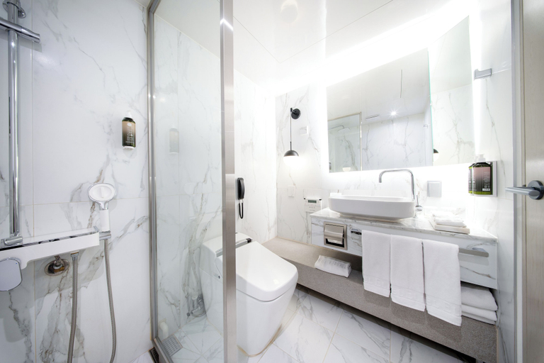Bathroom 5, ELIENA HOTEL SEOUL GANGNAM, Gangnam