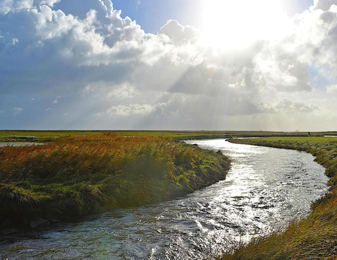 View from property 5, Ferienwohnung in Oevenum auf Foehr, Nordfriesland