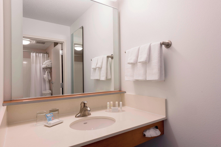 Bathroom 4, SpringHill Suites Detroit Auburn Hills, Oakland