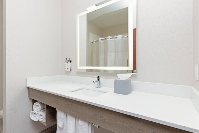 Bathroom 4, Holiday Inn Express & Suites ATHENS by IHG, Henderson