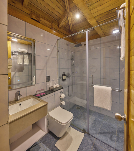 Bathroom 3, Regenta Resort Sakleshpur, Hassan