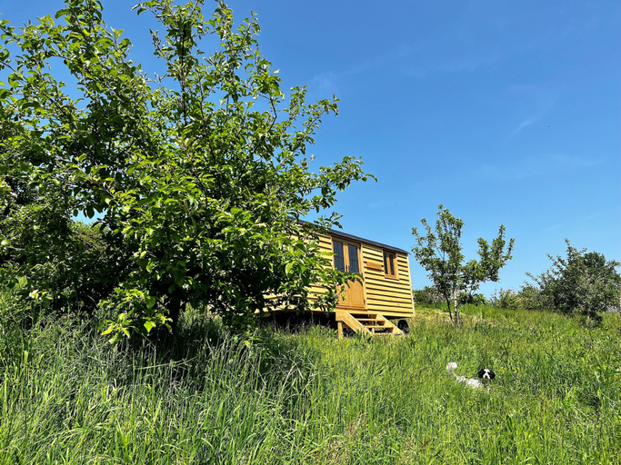 Exterior & Views 2, Woodpecker Hill - Apple Orchard in Alfriston, East Sussex