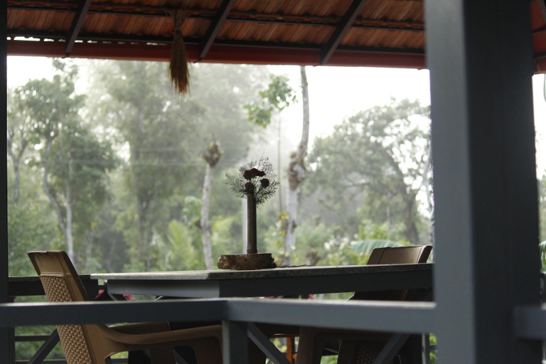 Others 4, 4Nature Stay, Kodagu