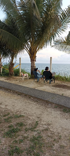 Others 2, ECOHOTEL El MORRO, Buenaventura
