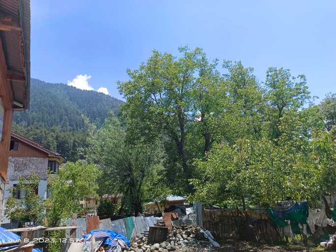 Others 3, Green Street, Anantnag