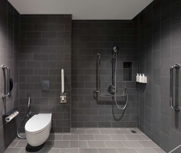 Bathroom 5, Hilton Garden Inn Bengaluru Embassy Manyata Business Park, Bangalore