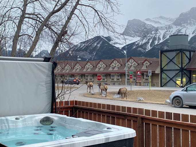 Sport & Beauty 4, P1 - Private Hot Tub - 3 Bedroom Home - Mountain View, Division No. 15