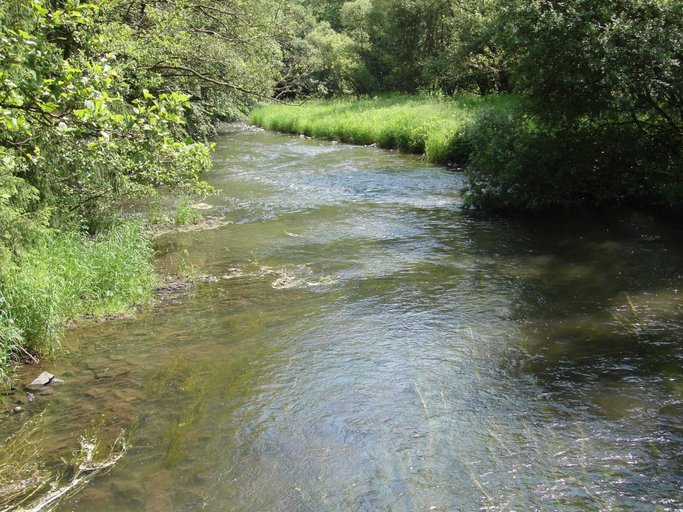 View from property 4, Cosy Apartment in Hallenberg Near Centre, Hochsauerlandkreis