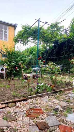 Others 4, Lemon Family GuestHouse, Tbilisi