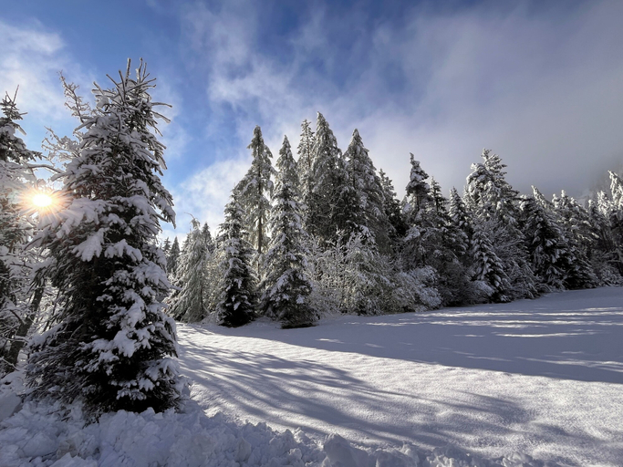Others 5, Haus Im Hochtal, Villach Land