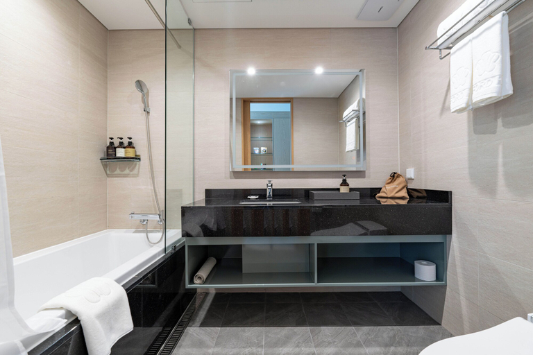 Bathroom 4, Stanford Hotel, Andong