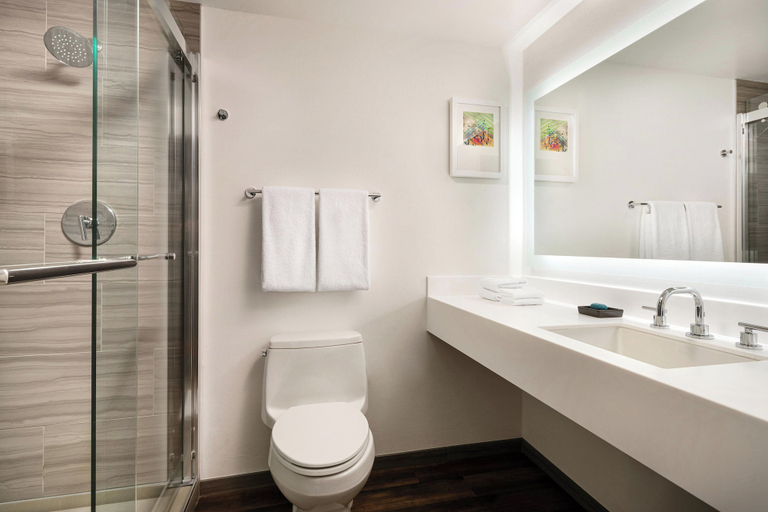 Bathroom 4, Aloft by Marriott Mountain View, Santa Clara