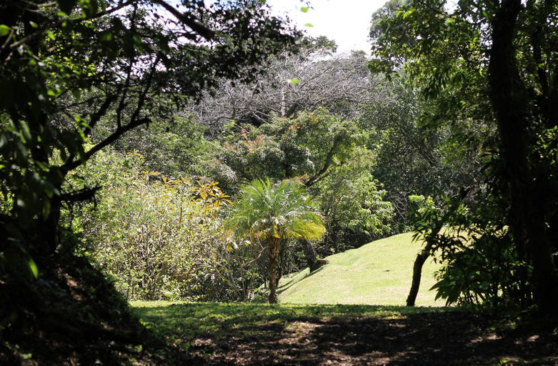 Others 3, Casa Canitas, Puntarenas