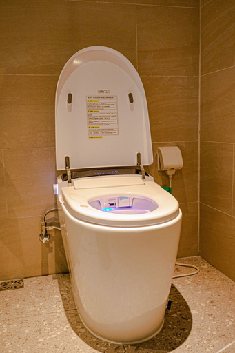 Bathroom 3, Borrman Hotel Dongying Optics Valley Future City, Dongying