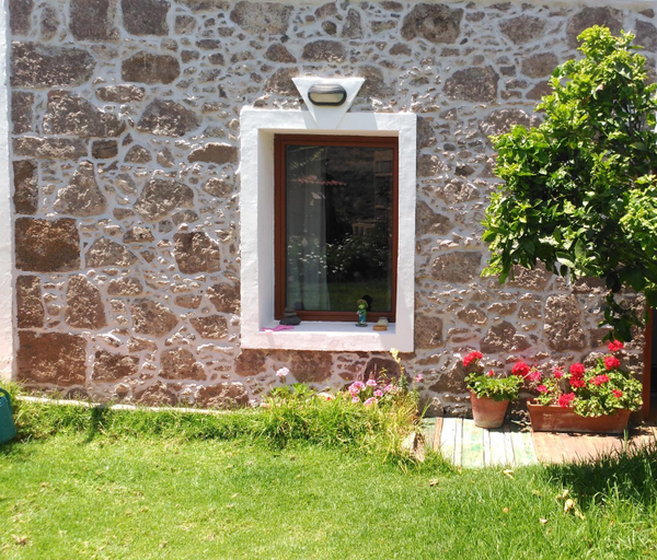 Garden 5, Villa Canaria piscina jacuzzi jardin, Las Palmas